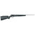 Savage Arms B17 FV Bolt Action Rifle 17 HMR 21" Stainless Barrel Black Stock
