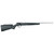 Savage Arms B17 FV Bolt Action Rifle 17 HMR 21" Stainless Barrel Black Stock