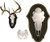 Mountain Mike's Deer Plaque Antler Mounting Kit