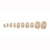 Tipton Gun Cleaning Pellets 243 Caliber, 6mm Felt 100PK