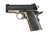 Defender (Advanced Security System)