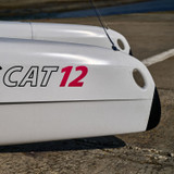 RS Cat 12 RS Cat 12