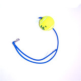 C420/FJ Tennis Ball Bailer