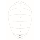 C420 Spinnaker - Custom Colored C420 Spinnaker - Custom Colored