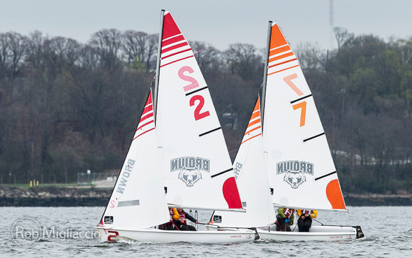 Zim Platinum Collegiate Sails