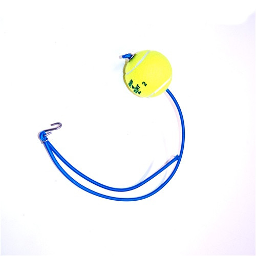 C420/FJ Tennis Ball Bailer