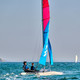RS Cat 12 RS Cat 12