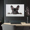 Frenchie Acrylic Prints