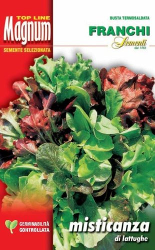 Semi Di Agretto Barba Del Frate - Salsola Soda (30 Semi) - Foto 8