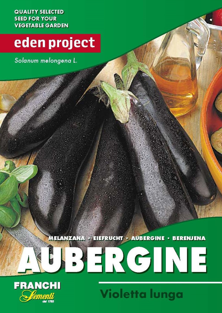 Aubergine Violetta Lunga