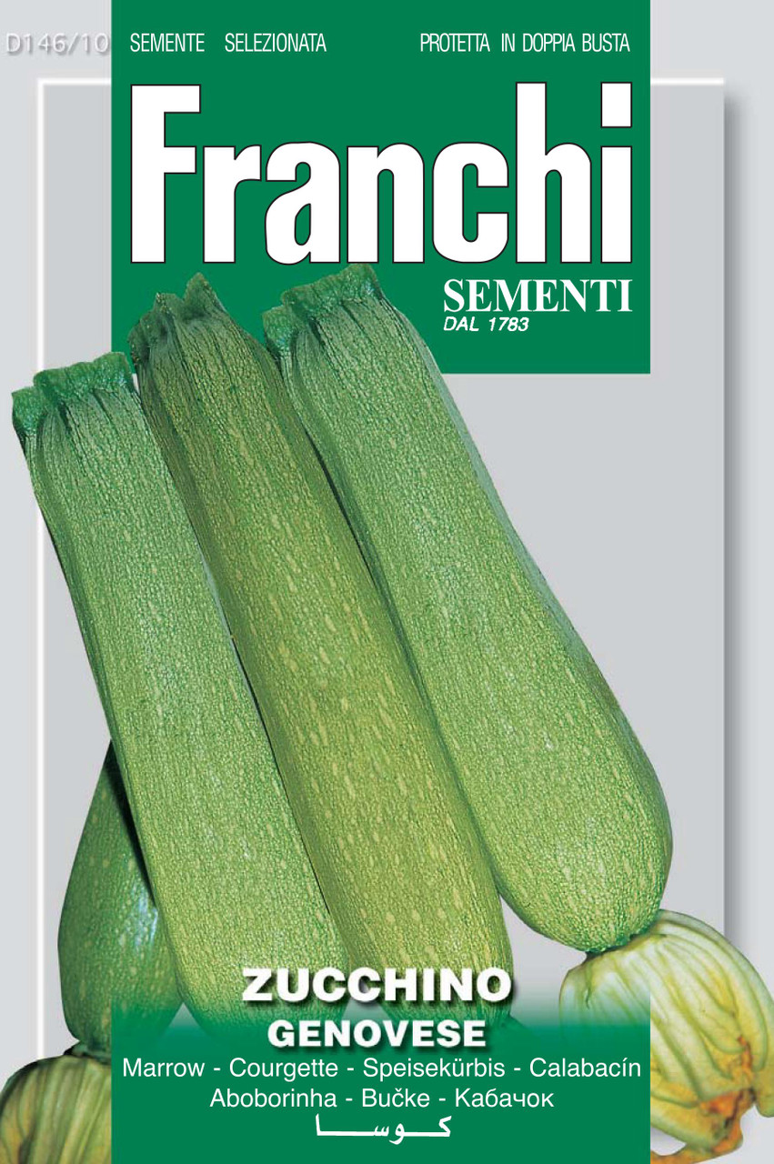 Courgette Genovese