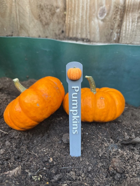 Plant and Herb Marker Tag - Biodegradable