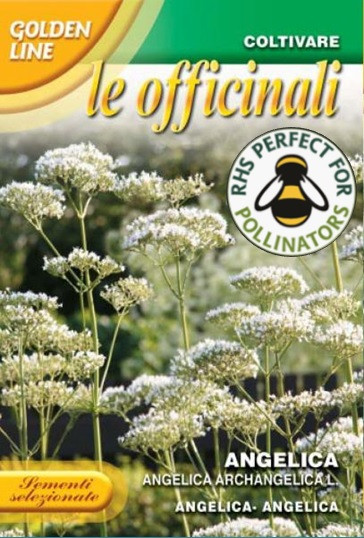 Seeds of Light ヒーリングワンド大【Angelica】 1465227035089_angelicarhs__882