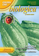 Organic Lettuce Romana bionda