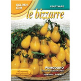 Tomato Yellow Pear Shaped (A) Solanum Lycopersicum L. Tomato Yellow Pear Shaped (A) Solanum Lycopersicum L.