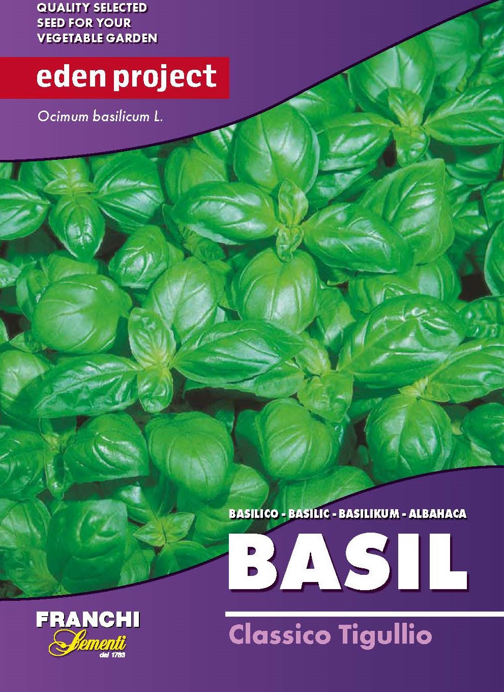 Basil ‘Classico Tigullio’ - Ocimum basilicum Also Ideal for Indoor ...