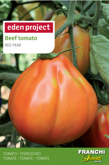 Eden Project Beef Tomato ‘Red Pear Franchi’(A) Solanum Lycopersicum L.