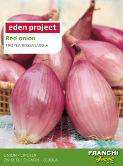 Eden Project Red Onion Tropea Rossa Lunga (A) Allium cepa L