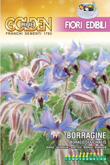 Borage Edible Flowers For The Kitchen