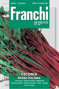 Chicory Rossa Italiana