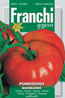 Tomato Marmande (A) Solanum Lycopersicum L.