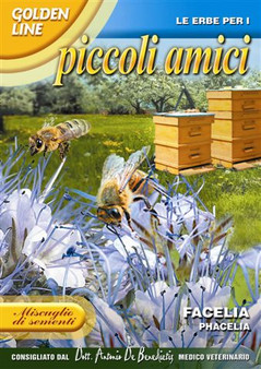 Phacelia / Facelia for Bees