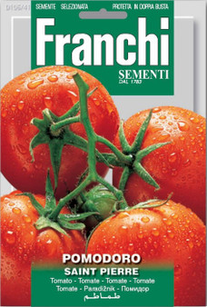 Tomato Saint Pierre (A) Solanum Lycopersicum L.