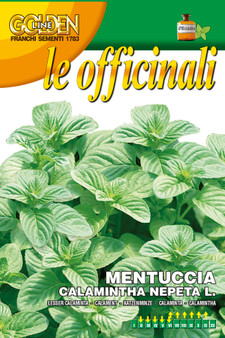 Mentuccia - Calamintha Nepeta