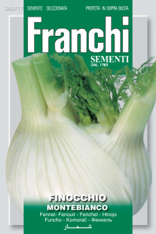 Fennel Montebianco