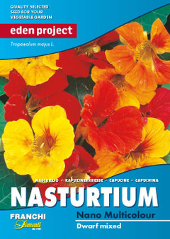 Eden Project Nasturtium dwarf