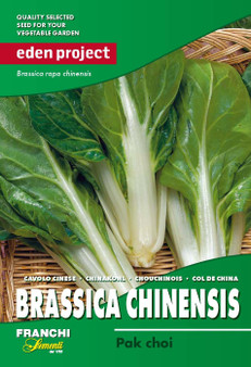 EP23d - Eden Project Chinese cabbage  PaK Choy