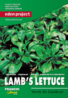 Eden Project  Lamb's lettuce Verte De Cambrai