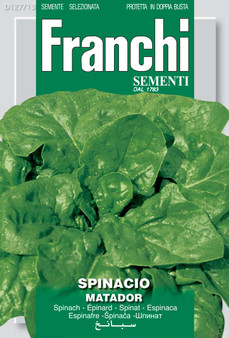 Spinach Matador Heirloom Variety