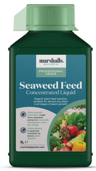 Seaweed Feed Professional 1L - All Natural