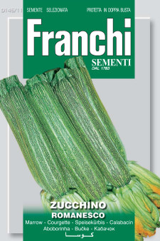 Courgette Genovese
