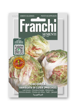 Variegated Radicchio Of Lusia Early (Precoce)