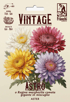 PRE-ORDER Vintage 1928 Aster Queen Daisy or Gliant Comet mix