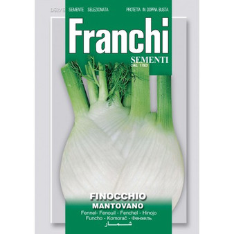 Fennel Mantovano *Short Date*