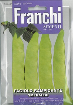 Climbing French Bean Smeraldo *Short Date* Discounted (A) Phaseolus vulgaris L.