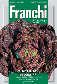 Lettuce Pesciatina Of Tuscany *Short Date* Discounted