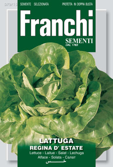 Lettuce Regina D'Estate *Short Date* Discounted
