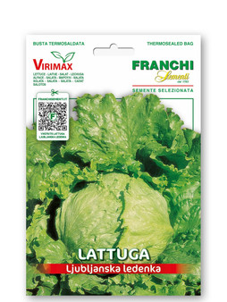 79/73 LETTUCE LJUBLANSKA LEDENKA/ LACTUCA SATIVA L.
