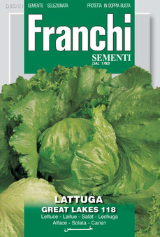 Lettuce Great Lakes *Short Date* Discounted