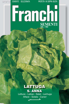 Lettuce S.Anna *Short date* exp 06/2026 discounted