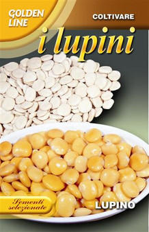 Lupini Beans *Short date* 06/2026