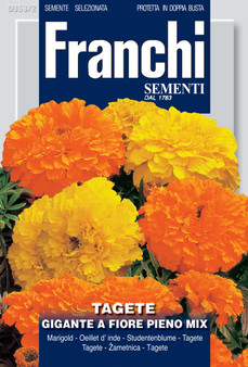 Marigold tall - Tagete gigante * Short date* expiry 06/2026
