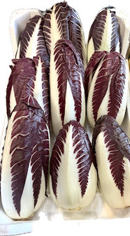 Fresh Vegetables Radicchio Trevigiano