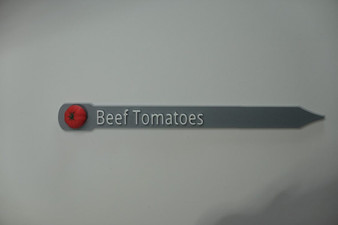 Plant and Herb Marker Tag - Biodegradable - BEEF TOMATOES