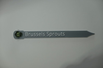 Plant and Herb Marker Tag - Biodegradable - BRUSSEL SPROUTS