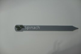 Plant and Herb Marker Tag - Biodegradable - SPINACH
